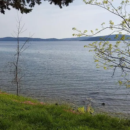 Daire Lavender Zadar