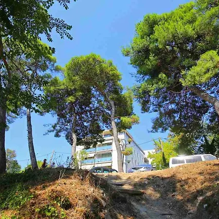 アパート Lavender