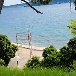 Lavender * Zadar